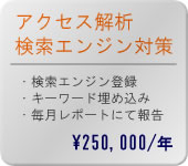 アクセス解析・検索エンジン対策