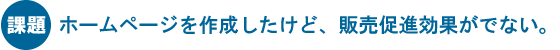 課題 ホームページを作成したけど、販売促進効果がでない。
